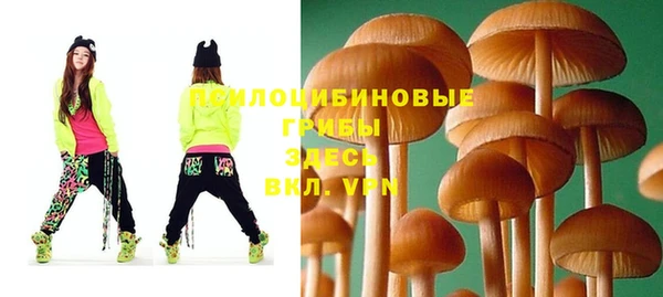 apvp Гусиноозёрск