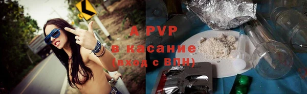 apvp Гусиноозёрск