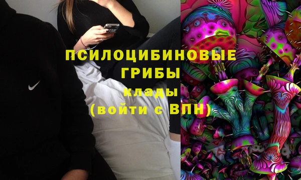 apvp Гусиноозёрск