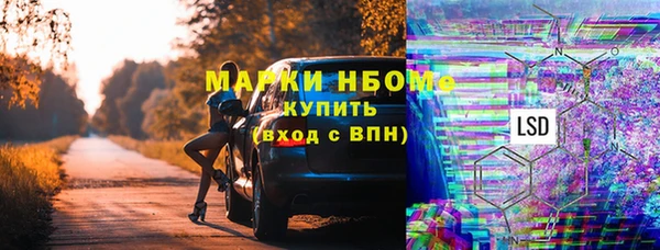 сатива Нестеровская