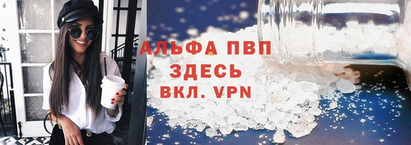 apvp Гусиноозёрск